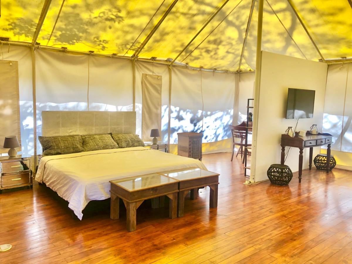 Готель Hyla Nature Retreat San Jose Pinilla Екстер'єр фото