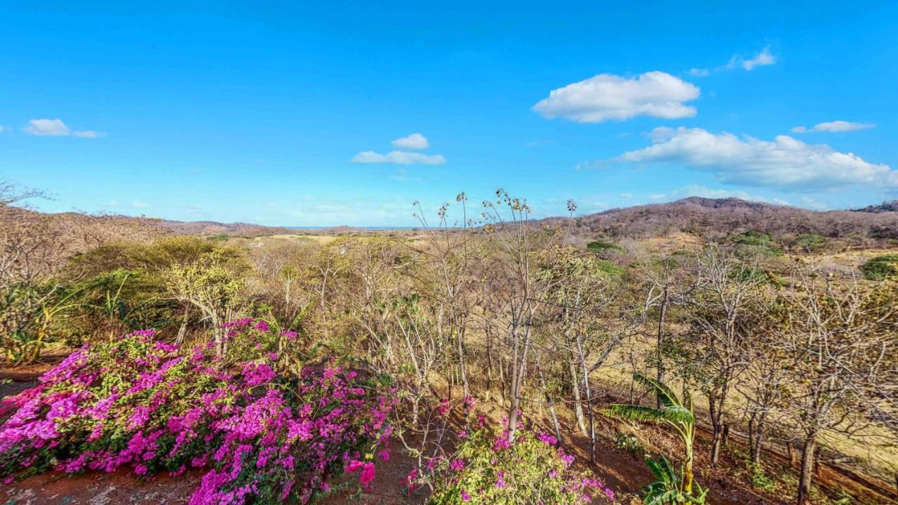 Готель Hyla Nature Retreat San Jose Pinilla Екстер'єр фото